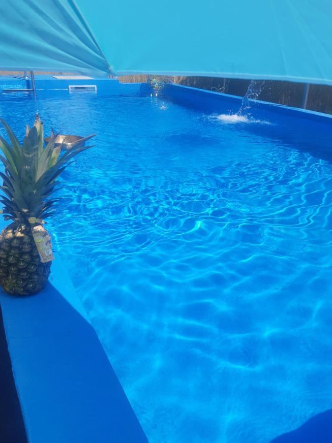 Apartment Mirella